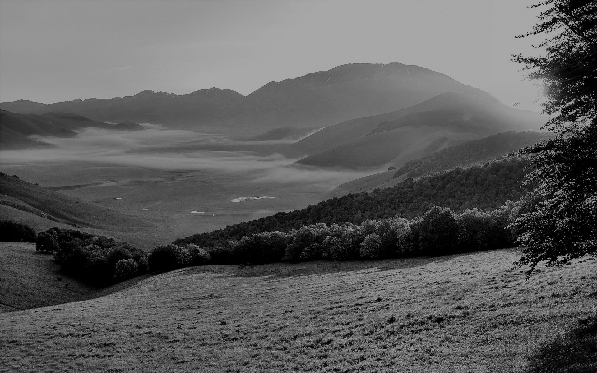 ಭಾರತೀಯಕಾವ್ಯಮೀಮಾಂಸೆಯಲ್ಲಿ ಪಾದೆಕಲ್ಲು ನರಸಿಂಹಭಟ್ಟರು ಕಾಣಿಸಿದ ಒಳನೋಟಗಳು--ಇತಿ-ಮಿತಿಗಳು